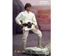 Фигурка Hot toys Star Wars New Hope Luke Skywalker 